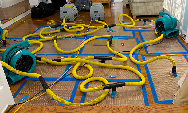 Professional Basement Flood Cleanup technician working in Pittsfield, ME